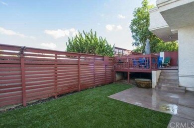 Grassy Backyard