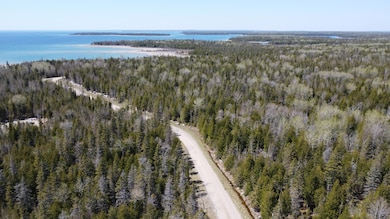 DJI_0745