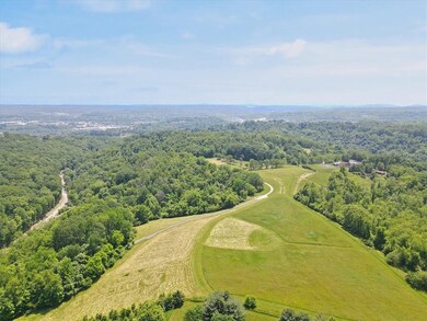 WOW! What will you do with the property?