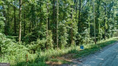 0 Tom Kat Trail unit 10564667, Lavonia, GA 30553 - photo 2