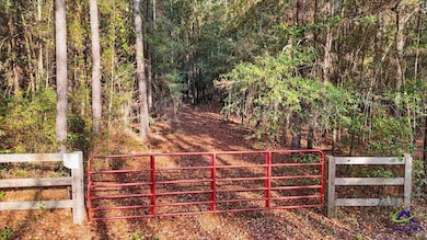 0 Massey Rd unit 257640, Tennille, GA 31089 - photo 4