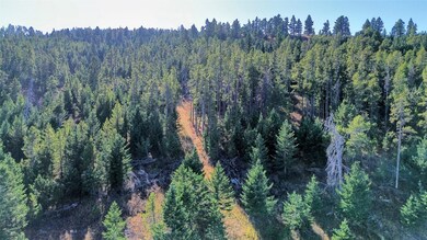 Logging path