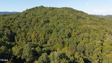 32.38 Ac Panther Creek Rd, Sneedville, TN 37869 - photo 5