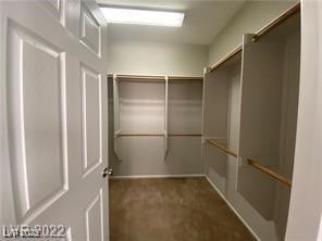 Spacious closet with dark colored carpet
