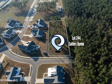 Lot 244 MLS-1