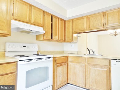 5904 Rowanberry Dr, Elkridge, MD 21075 - photo 3