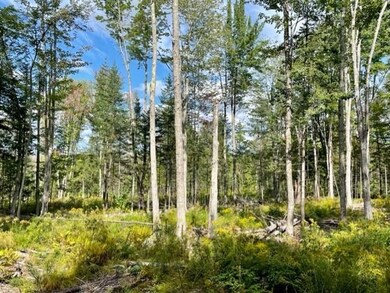 0 Birches unit 4928592, Sugar Hill, NH 03586 - photo 6