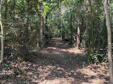 Lot 3 Hampton Way, Dothan, AL 36305 - photo 7