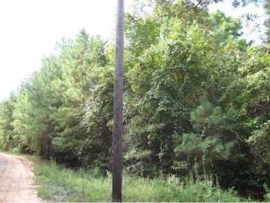 10.2 ac Hidden Leaf Trail, Nacogdoches, TX 75964 - photo 3