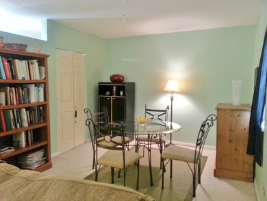 197 W Armitage Ave unit 101, Elmhurst, IL 60126 - photo 6