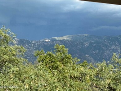 Catalina mt view