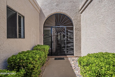 Southwest motif wrought iron door