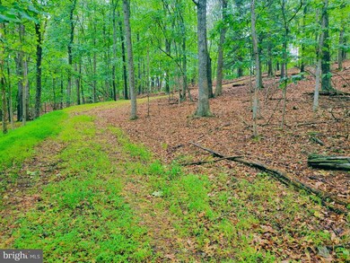 0 Dark Hollow Ct, Gerrardstown, WV 25420 - photo 3