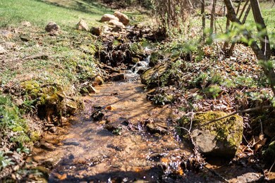 1265 Mason Branch Rd, Franklin, NC 28734 - photo 4