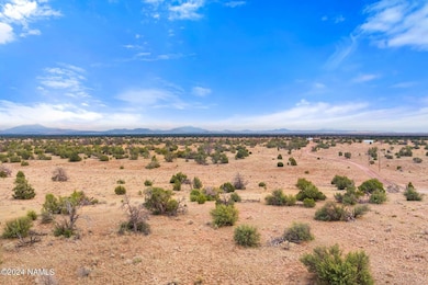 3097 N Peak View Rd unit Lot B, Williams, AZ 86046 - photo 4