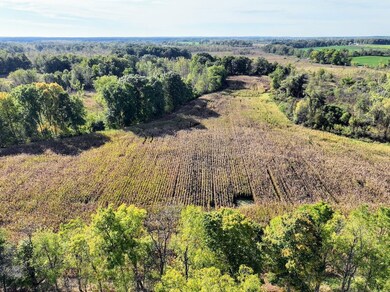 0 Vl Hoffman St unit LotWP001, Vandalia, MI 49095 - photo 2