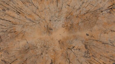 0 Etheridge Levee Rd, Greenfield, TN 38230 - photo 4