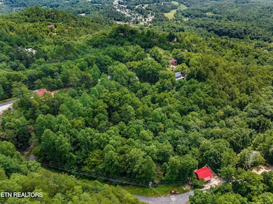 004-1005LaurelRoad-Townsend-TN-37882-SMA