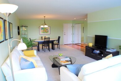 600 Naples Ct unit 309, Glenview, IL 60025 - photo 6