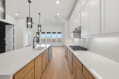 16561 Japanese Maple Dr, Ft. Worth, TX 76247 - photo 4