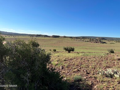 Eastern Hillside looking South