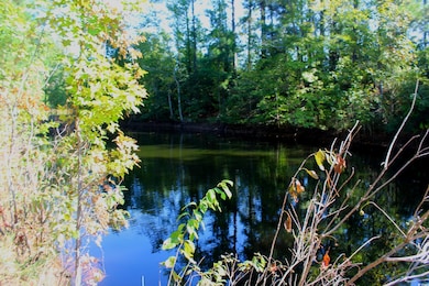 1 TBD Dew RD Dew Rd, Marion, SC 29571 - photo 6