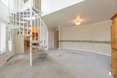 MMP_2906
