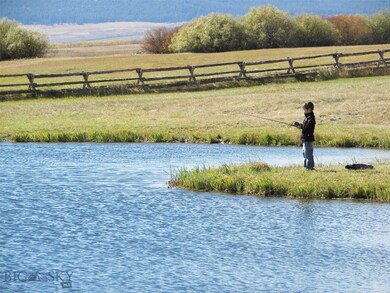 and there are fish...