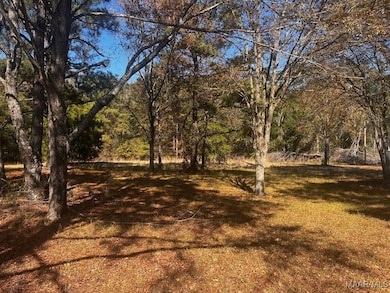 4.36 Acre Lot U S 80, Shorter, AL 36075 - photo 5