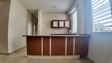 414 Cam Montero, Rincon, PR 00677 - photo 3