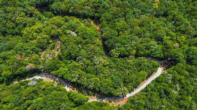 4.69 AC Rockwater Rd, Cherry Log, GA 30522 - photo 3