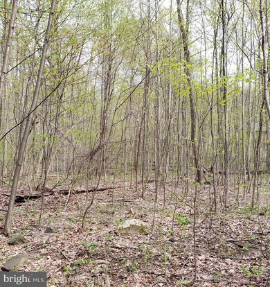 0 Mosby Springs Rd, Happy Creek, VA 22642 - photo 7