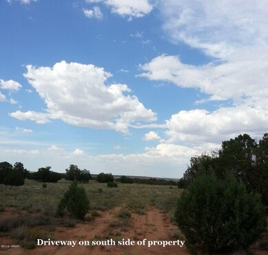 20150709 Driveway on south side of land