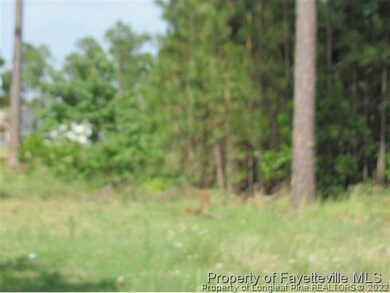 37 Farm Wood, Sanford, NC 27332 - photo 5