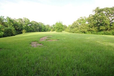 another field