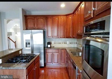 25140 Pennywort Terrace, Stone Ridge, VA 20105 - photo 5