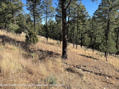 Lot 6 El Camino Dr, Alto, NM 88312 - photo 5