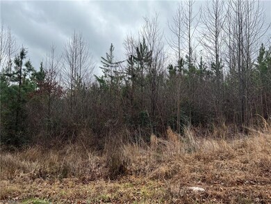 000 Borough Ave, Seagrove, NC 27341 - photo 3