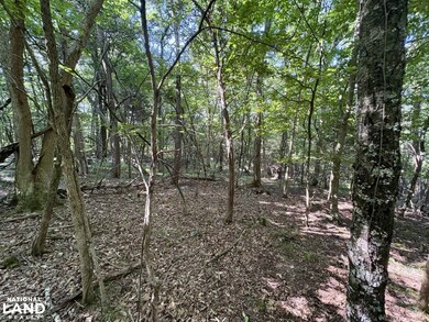 456 Geisler Rd, Piney Flats, TN 37686 - photo 4