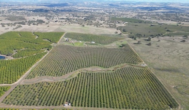 13571 Wimer, Farmington, CA 95326 - photo 2