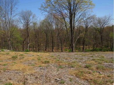 0 T 494 Frantz Rd unit 733366, Stroudsburg, PA 18360 - photo 7