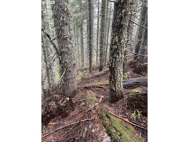 0 Calapooia Rd unit 498469836, Sweethome, OR 97386 - photo 7