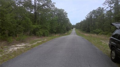 24075 SW Beaver Dr unit 1, Dunnellon, FL 34431 - photo 3