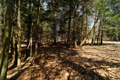 0 Opal Ridge Dr unit 21012894, Onekama, MI 49675 - photo 5