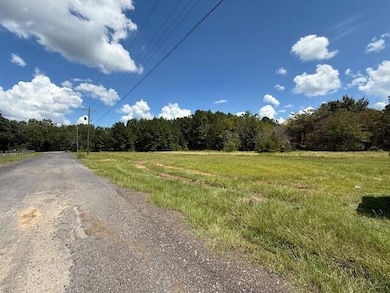 0 Murray St, Orangeburg, SC 29115 - photo 3