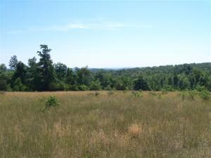 Land, View