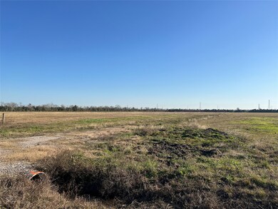 Lot 17 Rymal Ranch Rd, Algoa, TX 77511 - photo 6