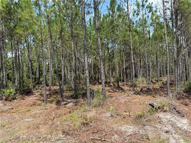 0 (Lot 6) Corbitt Rd, Manor, GA 31550 - photo 2