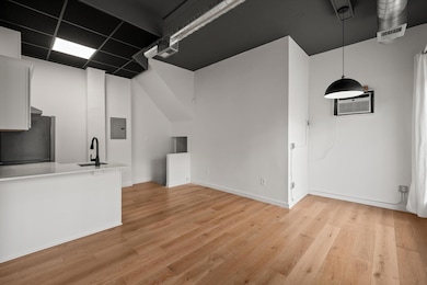 435 N Washington Ave, Royal Oak, MI 48067 - photo 3