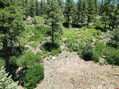 1156 Twin Buttes Ave, Durango, CO 81301 - photo 5